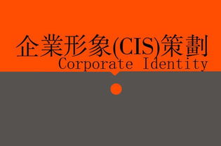 廣告、營銷、品牌與企業(yè)策劃 戰(zhàn)略協(xié)同下的廣告設(shè)計(jì)核心